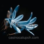 Avatar de Rafael Campos